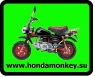 Номер Honda Monkey с MOTO
